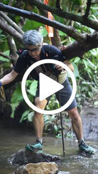 BIB:  <button type="button" onclick="openModal(27824512)" class="btn btn-primary btn-sm float-right" data-toggle="modal" data-target=".modal-high-quality">
                <i class="fa fa-download"></i> Download
                </button>